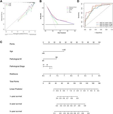 Novel Hypoxia-Associated Gene Signature Depicts Tumor Immune Microenvironment and Predicts Prognosis of Colon Cancer Patients